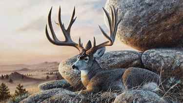 Read more about the article Acrylic Landscape Speed-painting – Mule deer at sunset