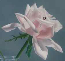 Heaven Sent by Jane Jones, how to paint rose petals in oil