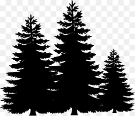 Christmas Black And White, Tree, Pine, Cedrus Libani, Arborvitae, Fir, Silhouette, Evergreen transparent background PNG clipart thumbnail
