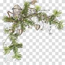 tree oregon pine plant shortleaf black spruce jack pine, Christmas Ornaments, Christmas Decoration, Christmas , Watercolor, Paint, Wet Ink, White Pine transparent background PNG clipart thumbnail