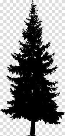 Christmas Black And White, Pine, Silhouette, Drawing, Tree, Fir, Shortleaf Black Spruce, Balsam Fir transparent background PNG clipart thumbnail
