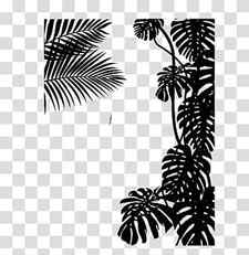 Cartoon Palm Tree, Palm Trees, Black White M, Pine, Line, Leaf, Pine Family, Black M transparent background PNG clipart thumbnail