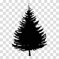 Christmas Black And White, Black Pine Tree, Silhouette, Eastern White Pine, Colorado Spruce, Shortleaf Black Spruce, Yellow Fir, Oregon Pine transparent background PNG clipart thumbnail