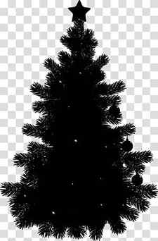 Christmas Black And White, Pine, Tree, Black Pine Tree, Silhouette, Fir, Conifers, Christmas Tree transparent background PNG clipart thumbnail
