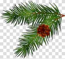Christmas Black And White, Branch, Pine, Fir, Tree, Conifer Cone, Conifers, Spruce transparent background PNG clipart thumbnail
