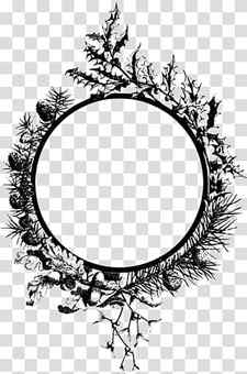 Family Tree, Black White M, Picture Frames, Pine, Pine Family, Circle, Oval, Branch transparent background PNG clipart thumbnail