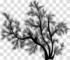 Pine Silhouettes, black tree illustration transparent background PNG clipart thumbnail