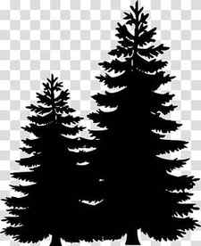 Christmas Black And White, Pine, Tree, Silhouette, Evergreen, Fir, Birch, Cedar transparent background PNG clipart thumbnail