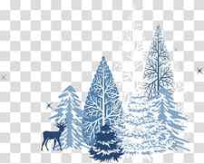 Christmas Black And White, Snowflake, Borders Clip Art, Colorado Spruce, White Pine, Oregon Pine, Tree, Shortleaf Black Spruce transparent background PNG clipart thumbnail