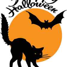 Halloween black cat and bat with orange moon clipart illustration, happy halloween by Mounir Khalfouf