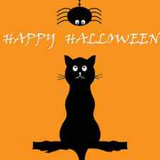 Halloween Kids, Black Cat And Spider, Halloween by Mounir Khalfouf