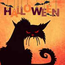 Happy Halloween scene with black cat and bats, halloween by Mounir Khalfouf
