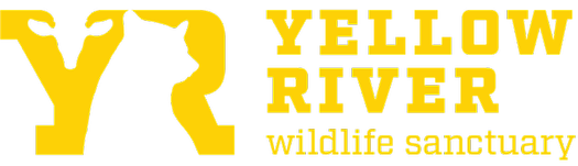 Yellow River Wildlife Sanctuary horizontal logo