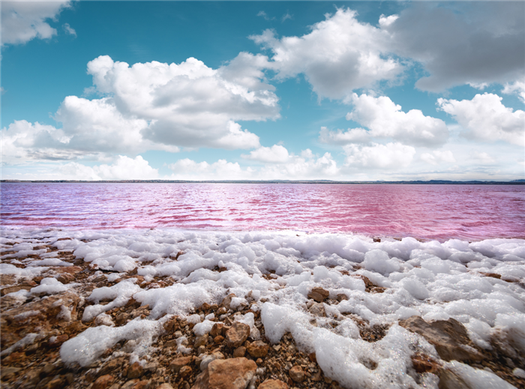 pink salt waters of las salinas de torrevieja