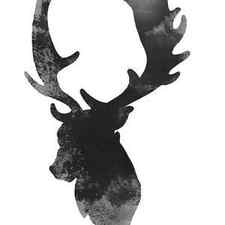 Gray deer art, Deer giclee fine art print, Deer head illustration by Joanna Szmerdt