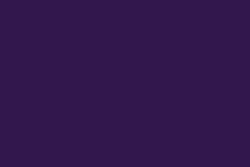 Russian Violet color