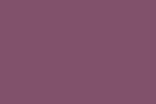 Twilight Lavender color