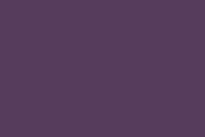 English violet color