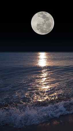 Night Moon, moonshine, nature, water, HD phone wallpaper
