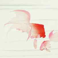 Gold fish by Ohara Koson