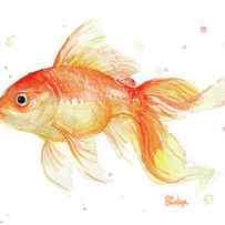 Goldfish Painting Watercolor by Olga Shvartsur