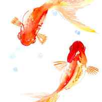 Two Goldfish Feng Shui by Suren Nersisyan