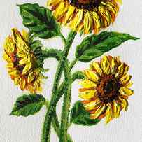 Sunflowers Dance by Irina Sztukowski