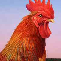 Big Red Rooster by James W Johnson