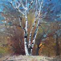 Birch Trees by Ylli Haruni