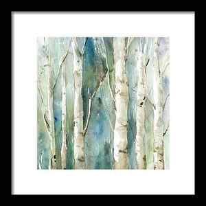 Birch Tree Framed Prints