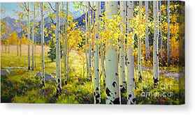 Birch Tree Canvas Prints