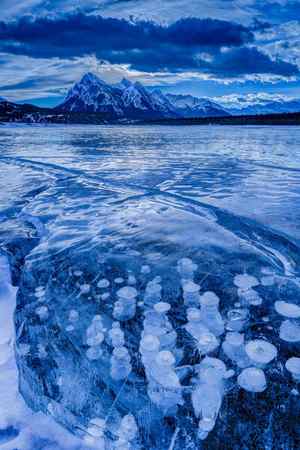 A winter scene of ice bubbles at Abraham Lake, Canada