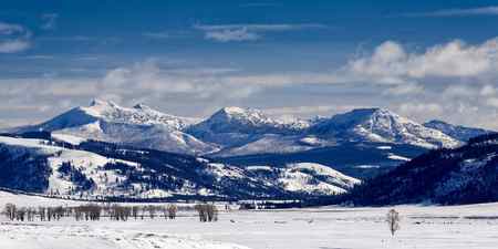 Lamar valley in winter in Yellowstone National Park, Wyoming