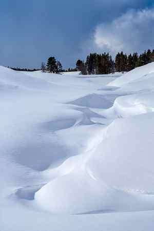 Shapes in the snow in Hayden Valley in Yellowstone National Park, Wyoming