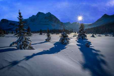 Long shadows from trees with a snow-covered field and a setting sun in a winter scene in Canada