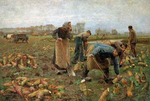 Émile Claus, Récolte des betteraves (The Beet Harvest) (1890), oil on canvas, 320 x 480 cm, Musée de Deinze et du Pays de la Lys, Belgium. WikiArt.