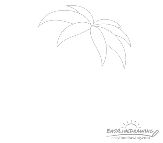 Palm tree leaves drawing