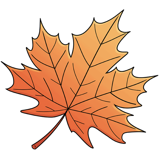 Complete Maple Leaf drawing
