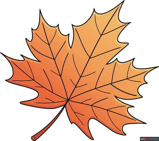 how to draw a leaf featured image