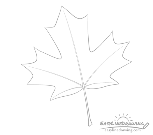 Maple leaf outline drawing