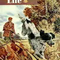 Outdoor Life Magazine Cover September 1948 by Outdoor Life