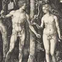 Adam and Eve, 1504 by Albrecht Durer