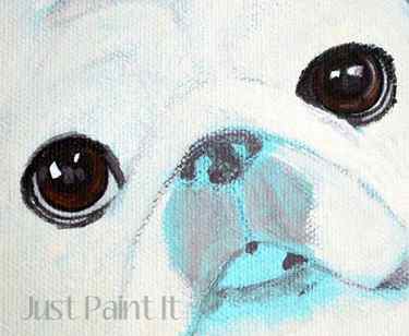 paint dog eyes-m
