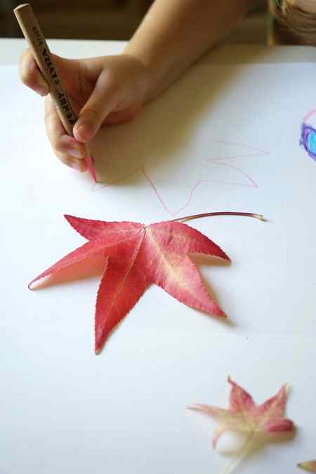 Fall Craft Ideas | Leaf Drawing | TinkerLab