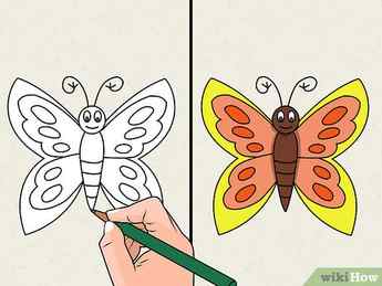 Step 2 Draw a butterfly. 