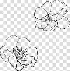 Line art Drawing Flower Visual arts, wildflower transparent background PNG clipart thumbnail