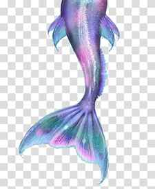 Mermaid Ariel Merliah Summers Drawing Tail, mermaid tail transparent background PNG clipart thumbnail