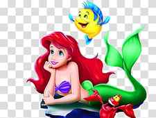 THe Little Mermaid Ariel illustration, Ariel Scuttle The Walt Disney Company Mermaid , Mermaid transparent background PNG clipart thumbnail