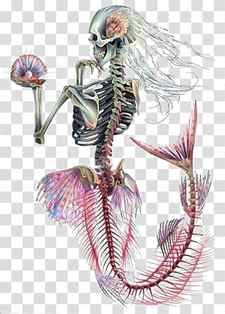 skeleton mermaid artwork, Ariel Mermaid Human skeleton Skull, Mermaid transparent background PNG clipart thumbnail