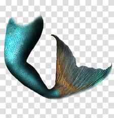 teal mermaid tail illustration, Mermaid Tail , mermaid tails transparent background PNG clipart thumbnail